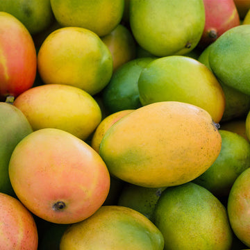 Ein Haufen Mangos in Nahaufnahme.